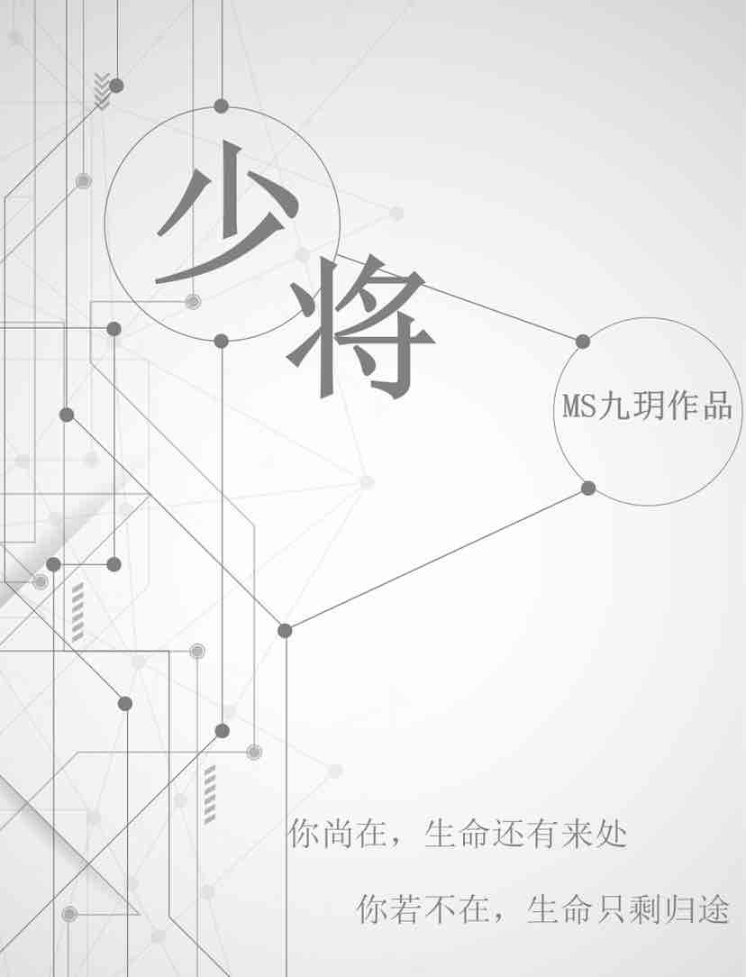 少将猛如虎免费阅读
