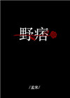 野痞小说讲的什么